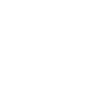 Logo Carousel_BlueStar-1