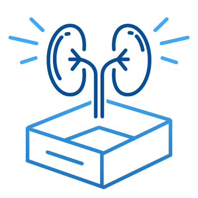 Icon_KIT - Kidney Care